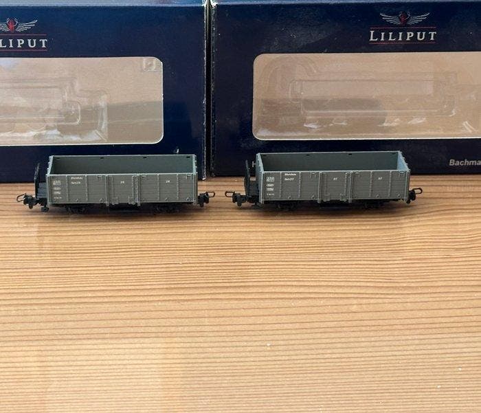 Liliput H0e - L245001/L294002 - Modeltrein goederenwagon (2), Hobby en Vrije tijd, Modeltreinen | H0