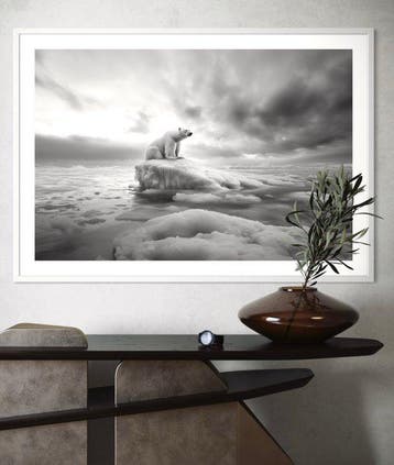 Rudy barret - Guardian of the Ice 6/6 - XL