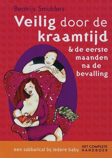 Veilig door de kraamtijd & de eerste maanden na de bevalling, Verzenden, Zo goed als nieuw, Beatrijs Smulders
