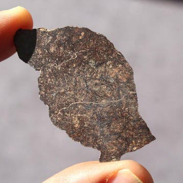 Belle tranche de mesosidérite NWA 14036 Météorite de