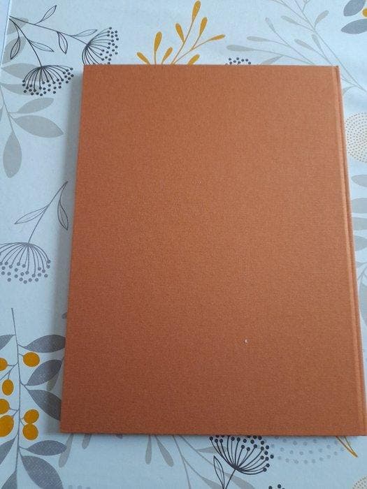 Lefranc - De reizen van Lefranc - De luchtvaart 3 - luxe, Livres, BD