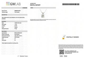 Zonder minimumprijs - Ketting met hanger - 14 karaat Witgoud