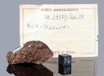 BUR GHELUAI Fragment met korst - 43.7 g - (1)