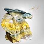 Zeldzaam - schedel en draak in Bumble jaspe XXL Gravure -, Verzamelen, Mineralen en Fossielen