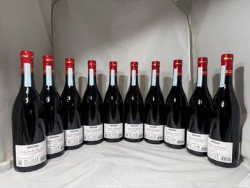 2021 Bertani Valpolicella Ripasso - Veneto - 10 Flessen, Verzamelen, Nieuw