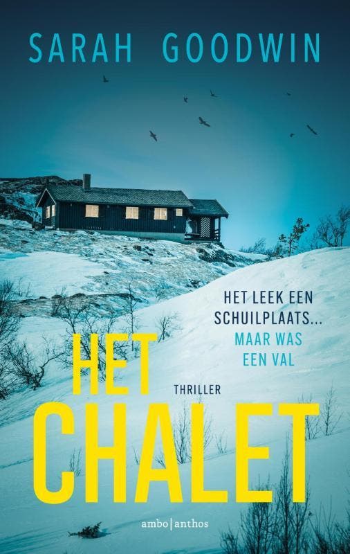 Het chalet 9789026363269 Sarah Goodwin, Boeken, Thrillers, Zo goed als nieuw, Verzenden