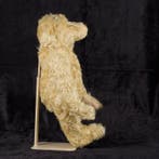 Steiff - Teddybeer - 1960-1970 - Duitsland, Antiek en Kunst, Antiek | Speelgoed