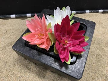 Osaka drijvende plantenring met plastic plantenmand 19x19cm, Verzenden, Nieuw