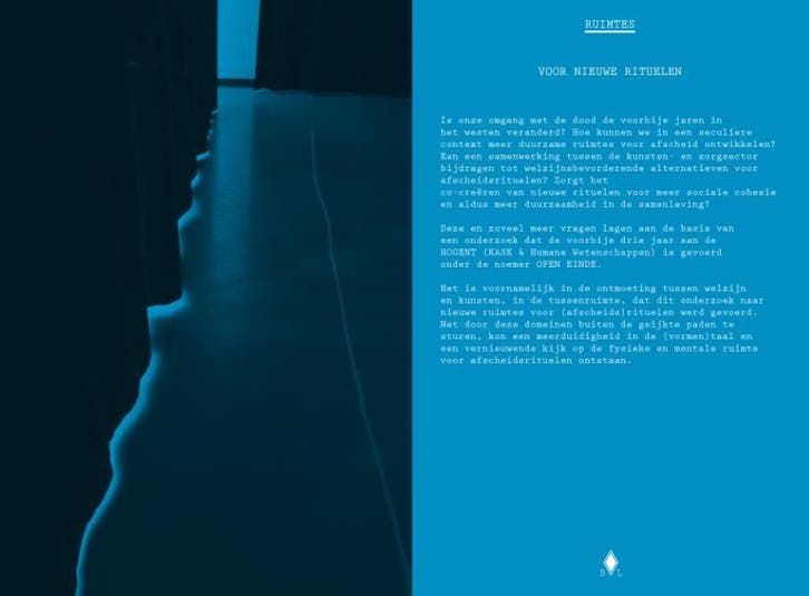 Ruimtes voor nieuwe rituelen 9789089319586 Jan De Pauw, Boeken, Kunst en Cultuur | Beeldend, Zo goed als nieuw, Verzenden