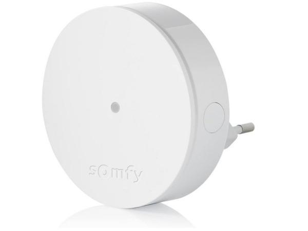 Veiling -  Radiosignaalrelais - Somfy Protect, Diversen, Overige Diversen, Gebruikt