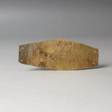 Oud-Grieks Goud Blad / folie of diadeem met decoratie