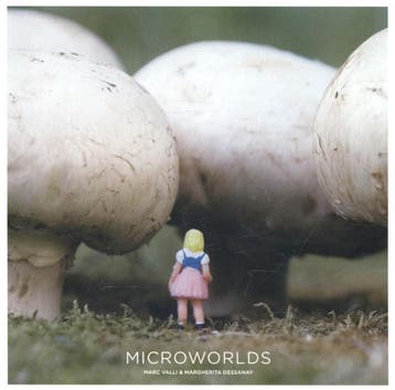 Microworlds / An elephant book 9781856697873, Verzenden, Zo goed als nieuw, Margherita Dessanay