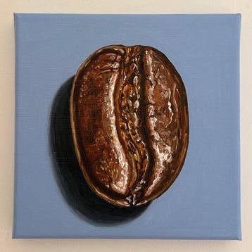 Cansu Rossi - Coffee Bean