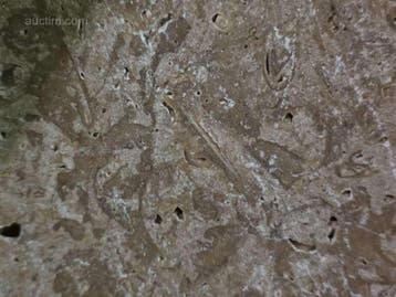 m² Turkse Travertine Tegels (50x), Ophalen
