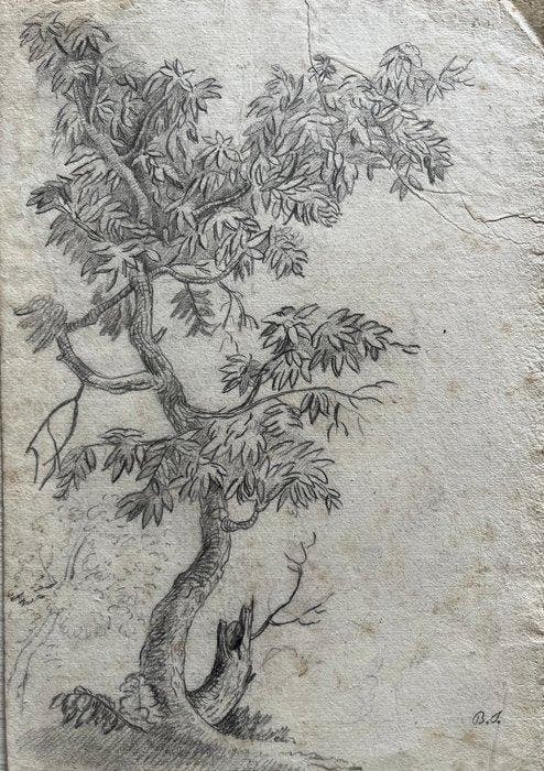 Scuola italo-francese (XVIII) - Studi paesaggistici, Antiquités & Art, Art | Peinture | Classique