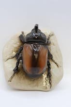 Royal Dux, Bohemia - Figurine - Rhinoceros Beetle -, Antiquités & Art