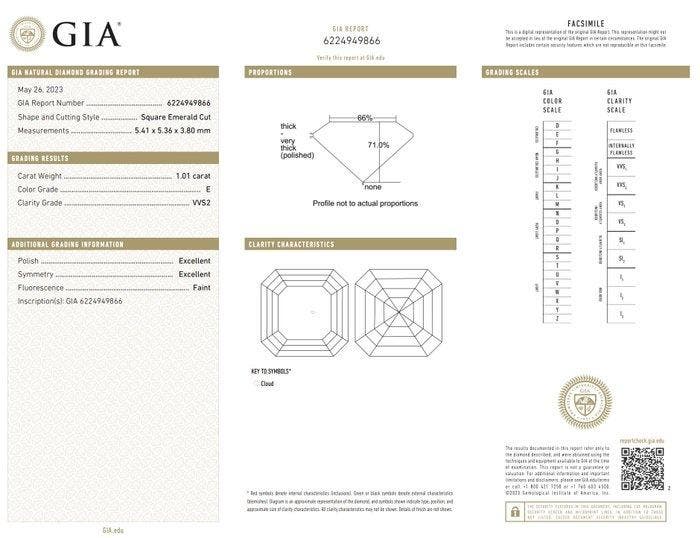 Boucles doreilles - 18 carats Or blanc - 2.52ct. tw., Handtassen en Accessoires, Oorbellen