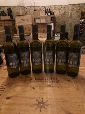 2025 Tua Rita, Perlato del Bosco - Toscane IGT - 6 Bouteille