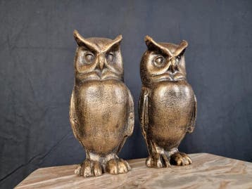 Beeld, Iron Owls - 2.5kg - 16 cm - IJzer - 2026