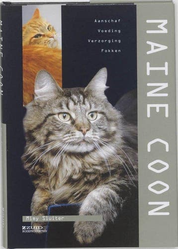 Maine Coon - Sluiter, Verzenden