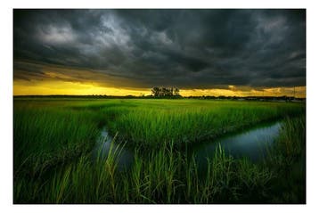 Elena Paraskeva - A Brewing Storm (USA) - XL