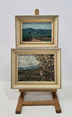 Martí Rubió (1951) - NO RESERVE - Dos paisajes