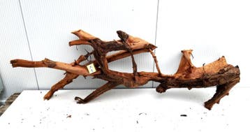 Osaka XL87 uniek aquarium decoratie hout  160x55x35cm, Ophalen of Verzenden, Plant(en), Steen of Hout