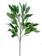 Shikibi Spray Light Groen Zijden tak, Nieuw