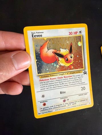 Pokémon - 3 Card - Eevee, Scyther, Psyduck Foil - WOTC, Nieuw