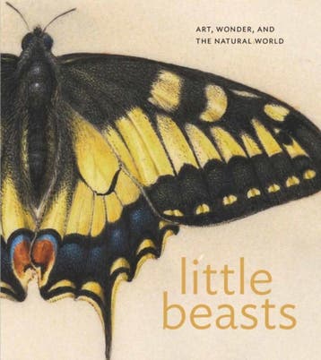 Little Beasts |  | Nieuw, Verzenden, Nieuw