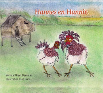 Hannes en Hannie 9789065093240 Greet Beerman, Verzenden, Zo goed als nieuw, Greet Beerman