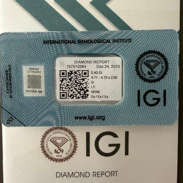 1 pcs Diamant (Natuurlijk) - 0.40 ct - Rond - G - IF -, Nieuw