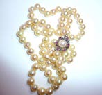 Halsketting - 14 karaat Witgoud - 0.25ct. tw. Parel - Robijn, Nieuw