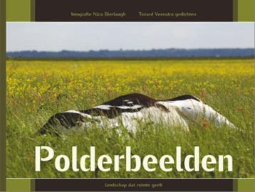 Polderbeelden 9789077285176 Tseard Veenstra, Verzenden, Tseard Veenstra