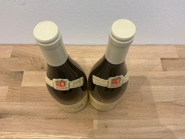 2023 Domaine Tribut Dauvissat Montmains - Chablis 1er Cru, Verzamelen, Wijnen