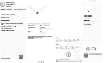 Zonder minimumprijs - Ketting met hanger - 14 karaat Geel