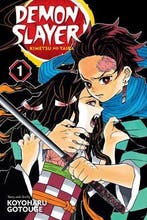 Demon Slayer: Kimetsu no Yaiba Volume 1, Livres, Verzenden