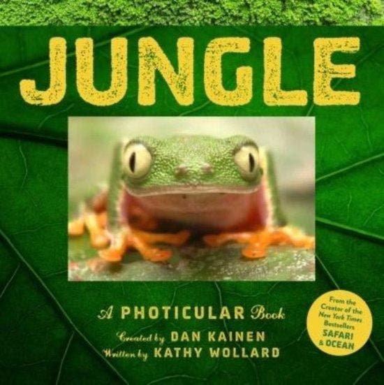 Jungle / Photicular 9780761189534 Dan Kainen, Boeken, Taal | Engels, Gelezen, Verzenden
