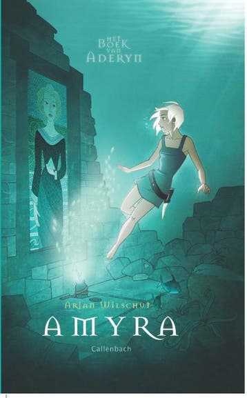 Amyra / Het boek van Aderyn / 2 9789026601231 Arjan Wilschut, Verzenden, Gelezen, Arjan Wilschut