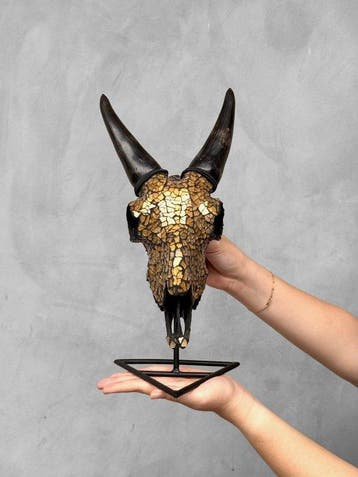 Pas de prix de réserve - Crâne de chèvre en mosaïque dorée, Antiek en Kunst
