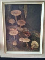Louis van der Steen (1891- - Witte paddenstoelen