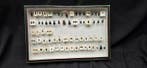 French antique Beetles ex BEON Yvonne collection - circa