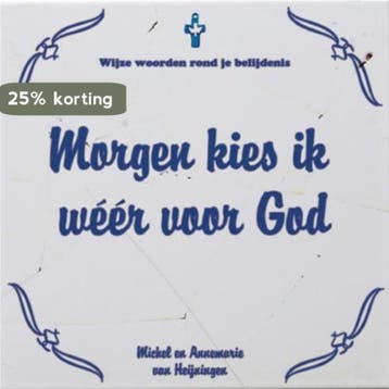 Morgen kies ik weer voor God / Wijze woorden 9789033816178, Verzenden, Michel van Heijningen