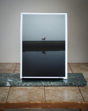 Gosse Bouma - THE LONE SHEEP, Antiek en Kunst
