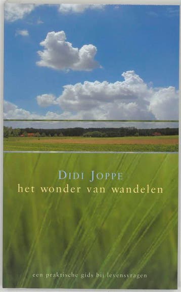 Het wonder van wandelen 9789077942222 Didi Joppe, Verzenden, Didi Joppe