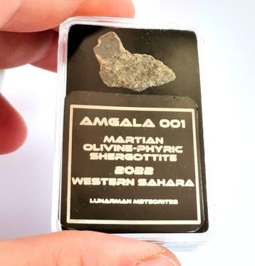 Amgala 001 Olivine-phyric Shergottiet Marsmeteoriet -