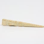Romain antique Os Tessera Annonaria, un jeton de mesure fixé