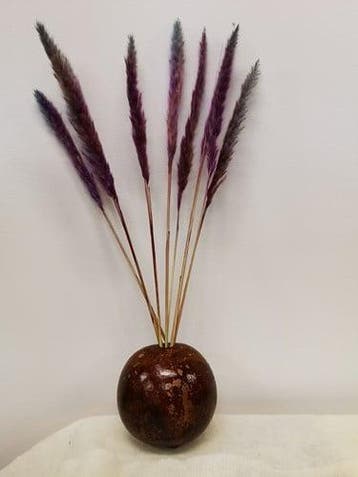 Fluffy Pampas Milka 70gr 75-80cm, Nieuw
