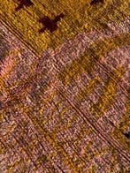 Nieuwe Marokkaanse Boujad Tapijt – Handgeweven Berber Wol, Huis en Inrichting, Nieuw