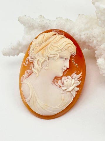 Zonder reserveprijs CASSIS RUFA - Cameo - Handgesneden camee